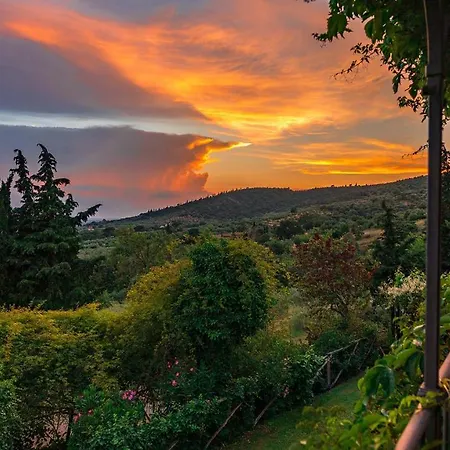 I Mandorli 8, Emma Villa